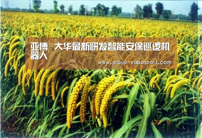 亚博官网